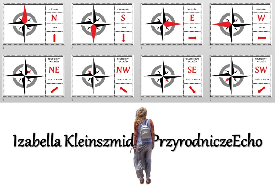Puzzle/układanka/praca w grupach do zalaminowania. "Kierunki geograficzne", "Poznajemy warsztat przyrodnika ". Przyroda 4 "Określamy kierunki geograficzne"