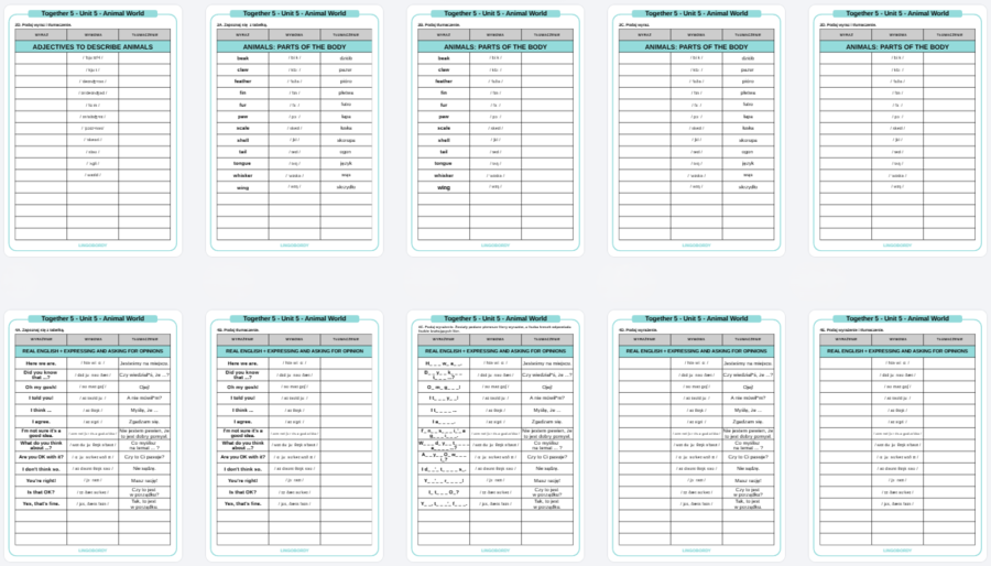 Together 5, Unit 5 - słownictwo