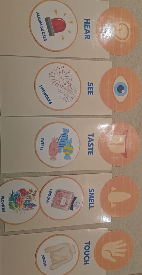 Zabawa obrazkowa zmysły - angielski