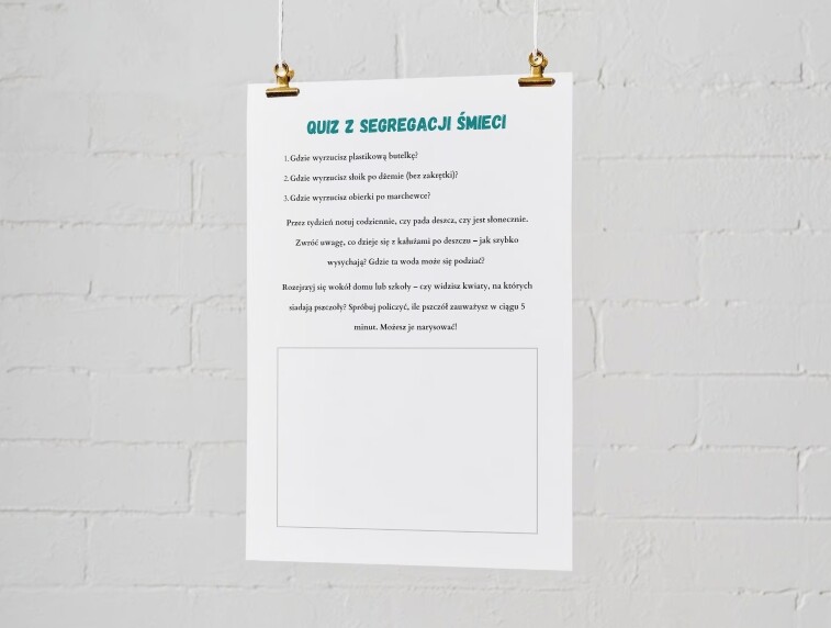 Infografiki edukacyjne. Zasady segregacji odpadów. Obieg wody w przyrodzie. Dlaczego pszczoły są ważne?