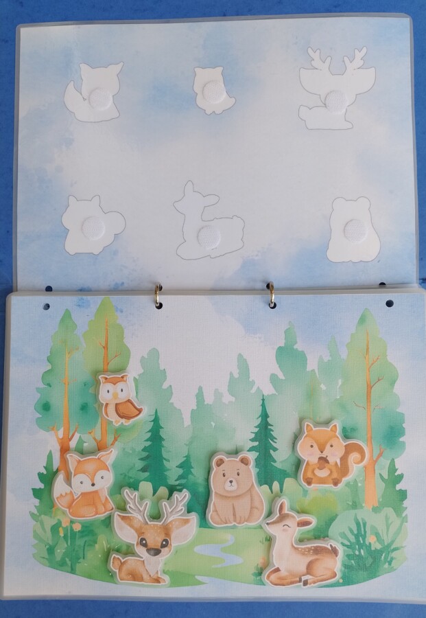 Zwierzęta i ich cienie