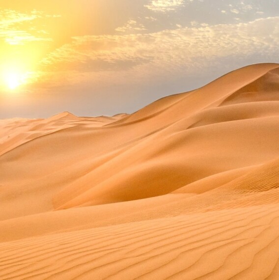 Eko-memory obrazkowe. Motywy przyrodnicze. Zwierzę - środowisko. Drzewo - liść.