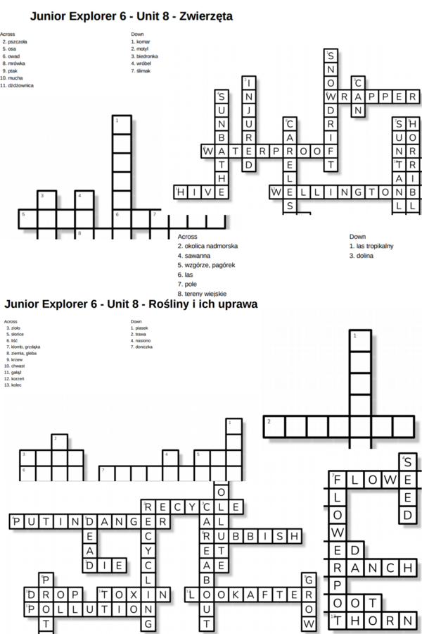 Junior Explorer 6 – Unit 8 – krzyżówki – Zwierzęta/Rośliny i ich uprawa/Ochrona środowiska/Krajobraz/Inne słówka