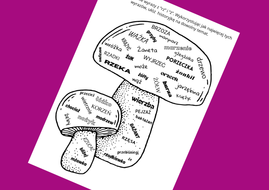 Ortograficzna CHMURA wyrazowa RZ/Ż - ortografia - karta pracy - ćwiczenia redakcyjne