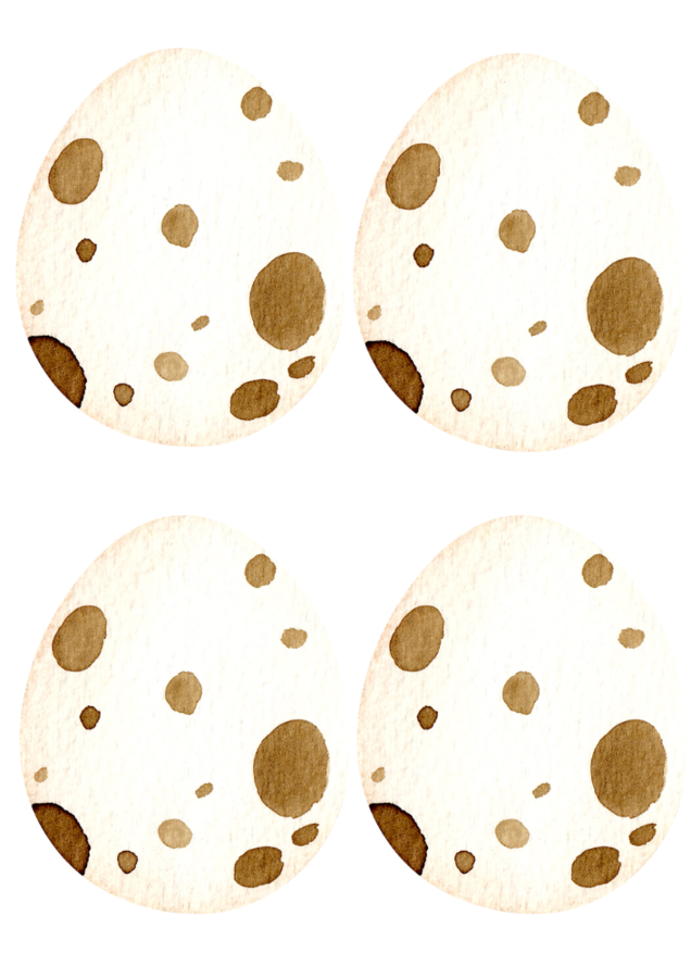 Paka na DZIEŃ DINOZAURA - wersja LUTY 2025! Uzupełniona, odświeżona, pełna nowych zadań!