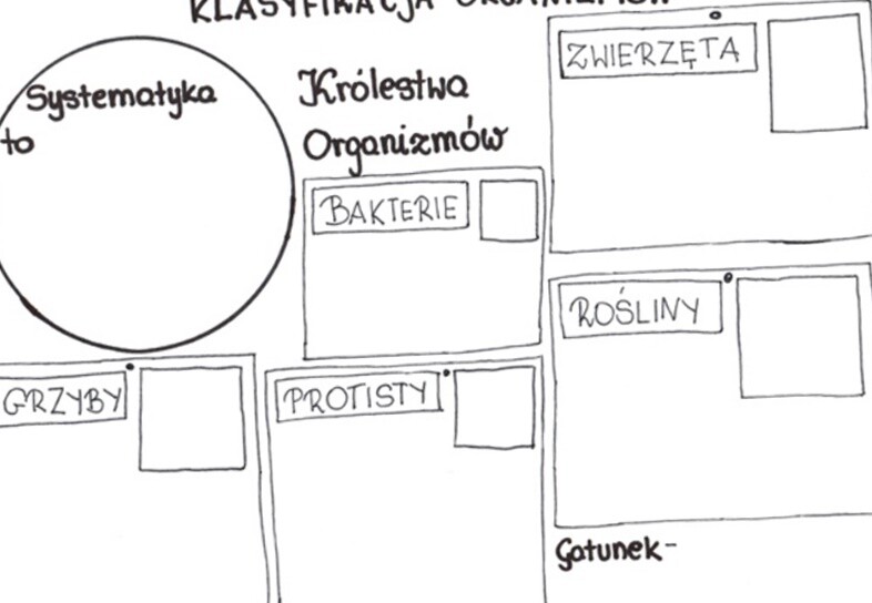 Klasyfikacja organizmów (karta pracy)