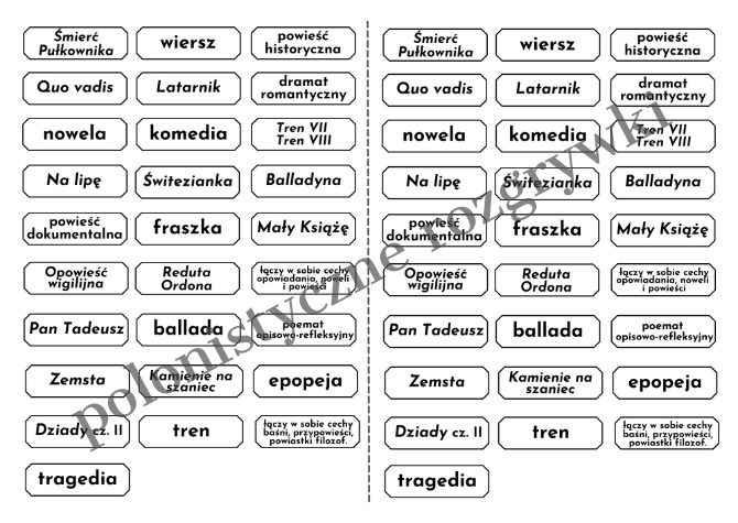 Wklejka - RODZAJE LITERACKIE + 28 elementów do kategoryzacji