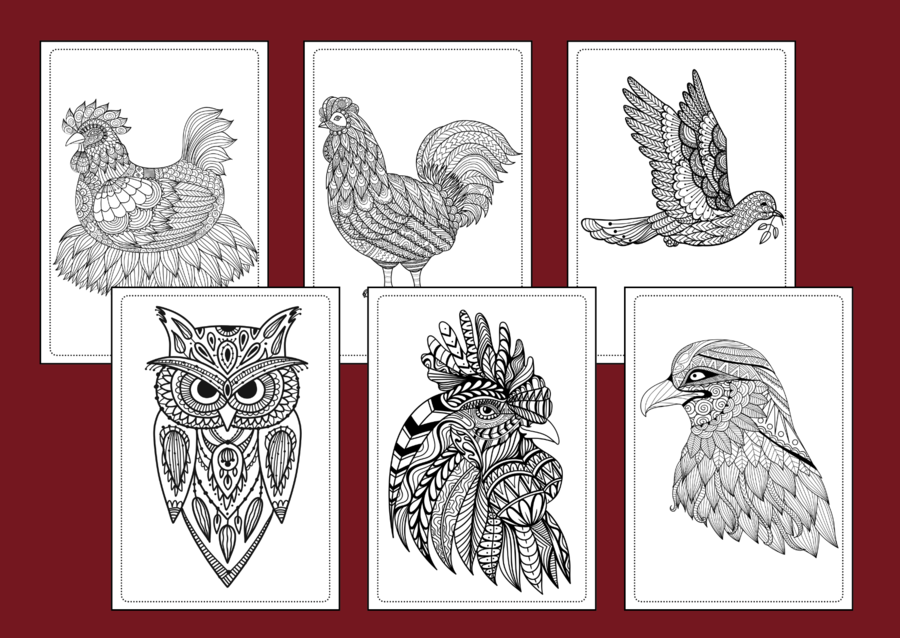 🦅 🐦 45 mandali do druku – idealne na DZIEŃ PTAKÓW 🦉– kolorowanka – mandala – jesień – biblioteka – świetlica – gazetka