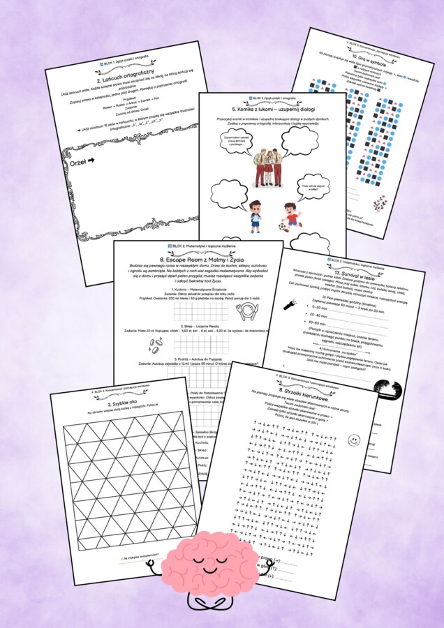 Pakiet rewalidacyjny Premium dla klas 4-8