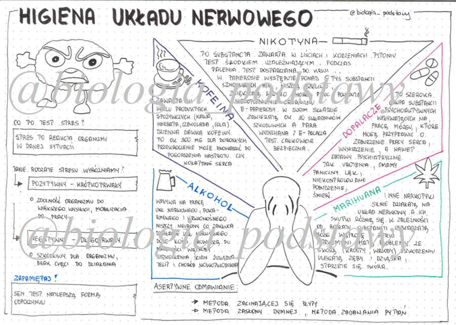 Klasa 7 - Higiena układu nerwowego - sketchnotka