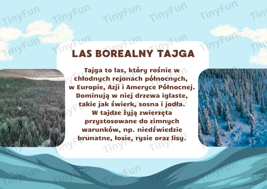 Prezentacja: Międzynarodowy Dzień Lasu – las, zwierzęta, warstwy lasu, edukacja przyrodnicza