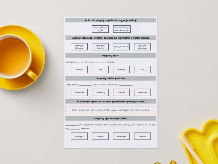 PRZYMIOTNIK I RZECZOWNIK [Karta pracy, sprawdzian]