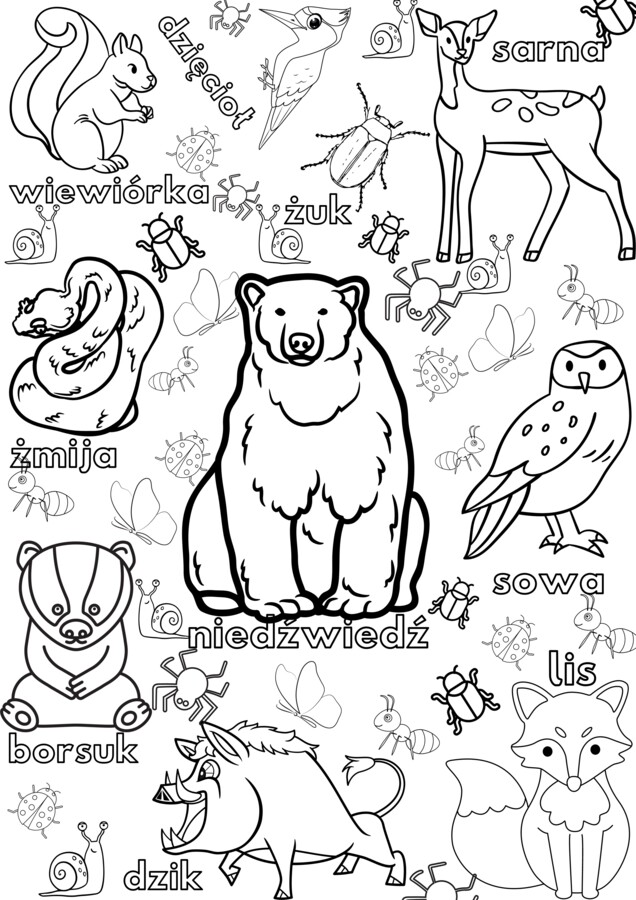 Kolorowanka XXL - leśne zwierzęta + nazwy