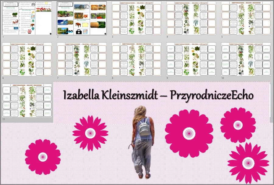 Minizestaw do tematu „Przegląd i znaczenie roślin okrytonasiennych” – sketchnotka + karta pracy w pdf + gratisowy link do prezentacji multimedialnej niekomercyjnej wykonanej w genial.ly do indywidualnego pobrania i użycia do celów niekomercyjnych. Biolog