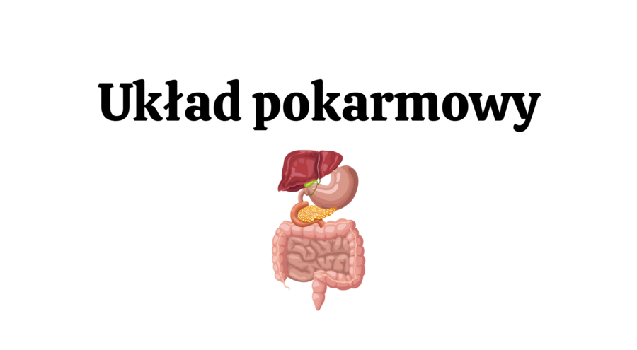 Układ pokarmowy 3 KLASA ROZSZERZONA BIOLOGIA