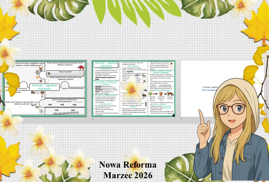 Mały zestaw na jedną lekcję: sketchnotka/notatka/przypomnienie dla nauczyciela, karta pracy plus prezentacja multimedialna „Zwierzęta - organizmy cudzożywne” w genial.ly. Przyroda "Odkrywam przyrodę". Klasa 4. Dział „Jak działają organizmy?".