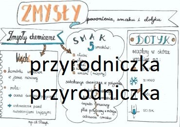 Klasa 7. Biologia. Zmysły