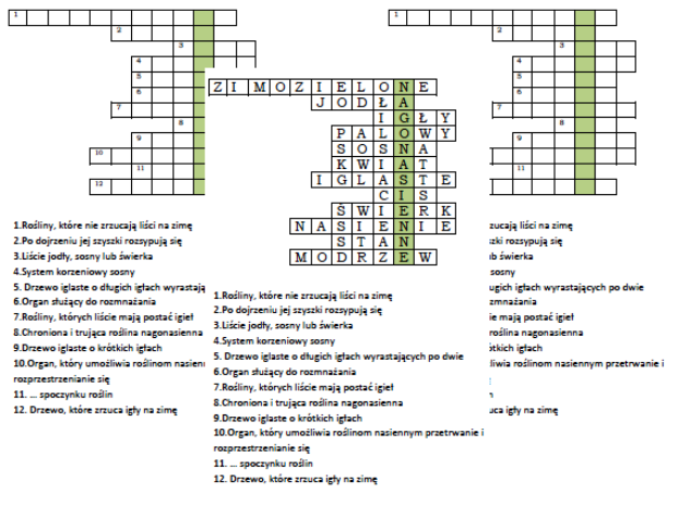 Logogryf na podsumowanie lekcji o nagonasiennych