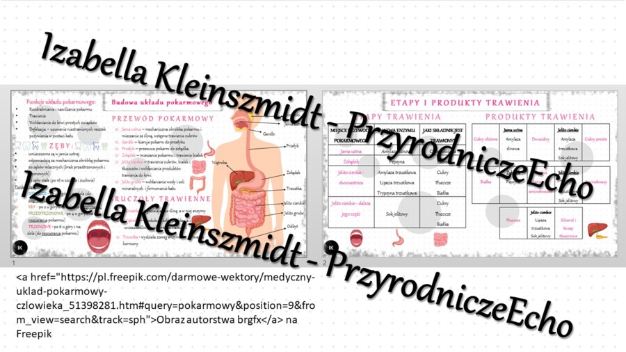 Sketchnotka - notatka „Budowa układu pokarmowego” wykonana w power point do edycji. Biologia 7; „Układ pokarmowy”