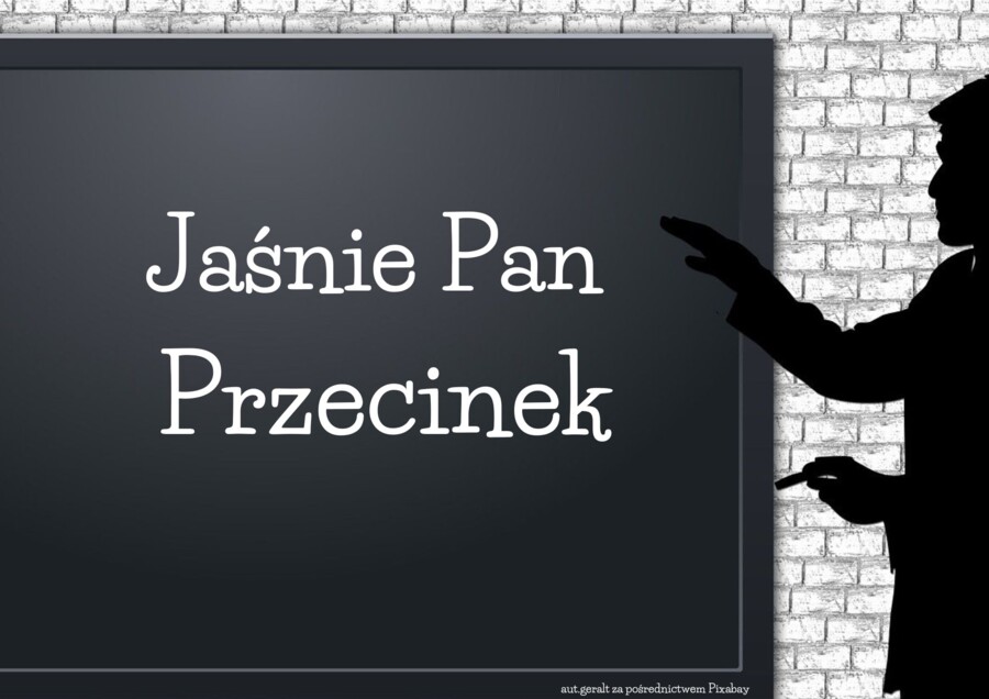 Gazetka na wesoło! Interpunkcja - zasady stosowania przecinków wierszem! HIT! Do wydruku lub wyświetlenia!