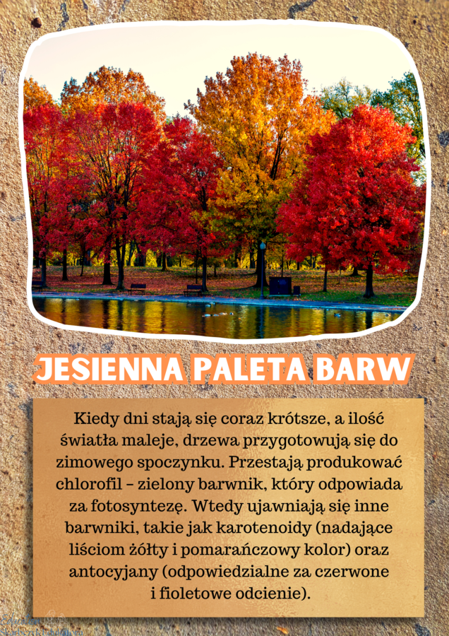 JESIEŃ - zestaw materiałów