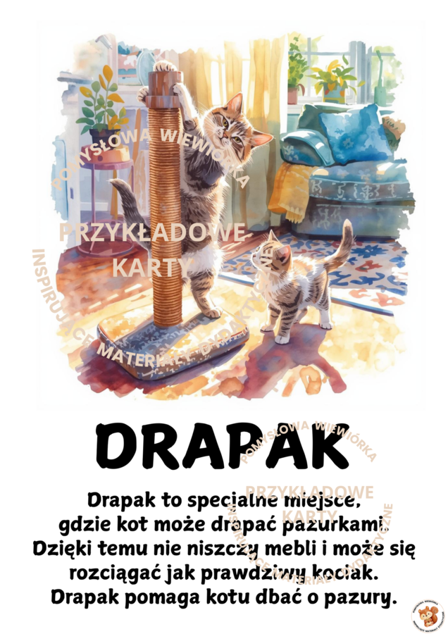 🐱 DZIEŃ KOTA
