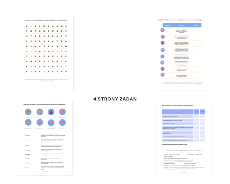 Język Francuski Medyczny, Anatomia, Organy i ich funkcje, Ćwiczenia, Słownictwo, Karty Pracy, Principaux organes du corps humain, Anatomie humaine