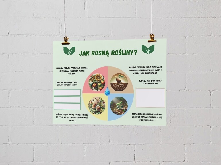 Plakaty edukacyjne. Cykl życia roślin i zwierząt. Różnorodność biologiczna. Jak chronić środowisko? Pięć zasad ekologii.