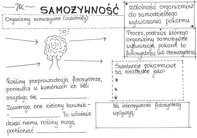 Samożywność (karta pracy)