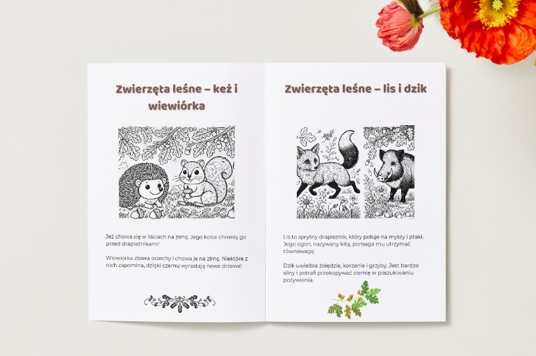 Kolorowanki. Zwierzęta. Rośliny. Grzyby. Sceny związane z ochroną przyrody.