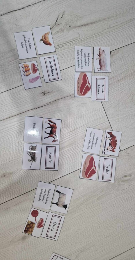 Produkcja zwierzęca w Polsce/do zalaminowana/układanka/puzzle/rozmieszczenie chowu w Polsce/rozpoznawanie gatunków w pdf. „Produkcja zwierzęca”. Geografia 7 "Rolnictwo i przemysł Polski"