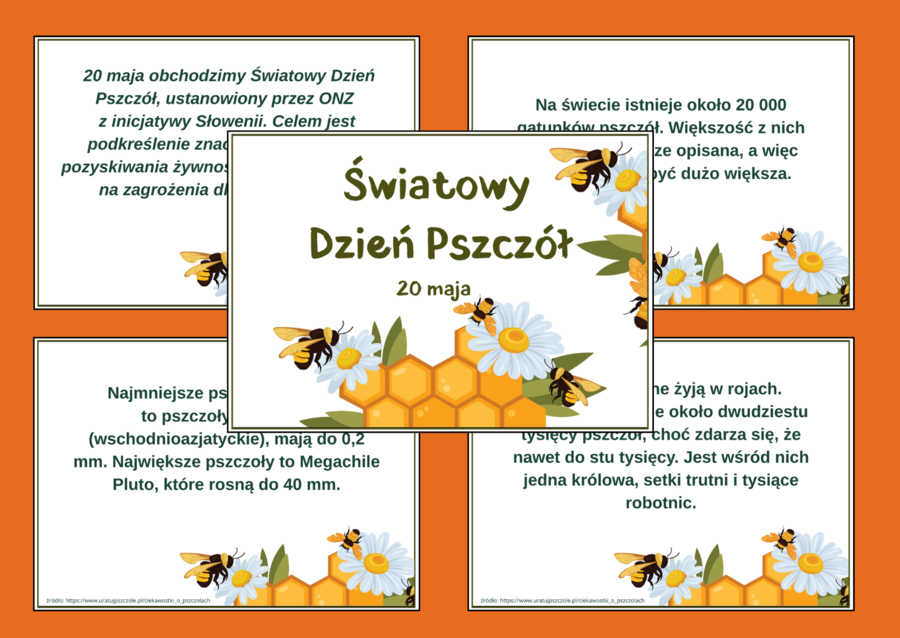 DZIEŃ PSZCZÓŁ – ciekawostki o pszczołach – wiosna – GAZETKA – biblioteka – świetlica – 13 stron – wersja 3