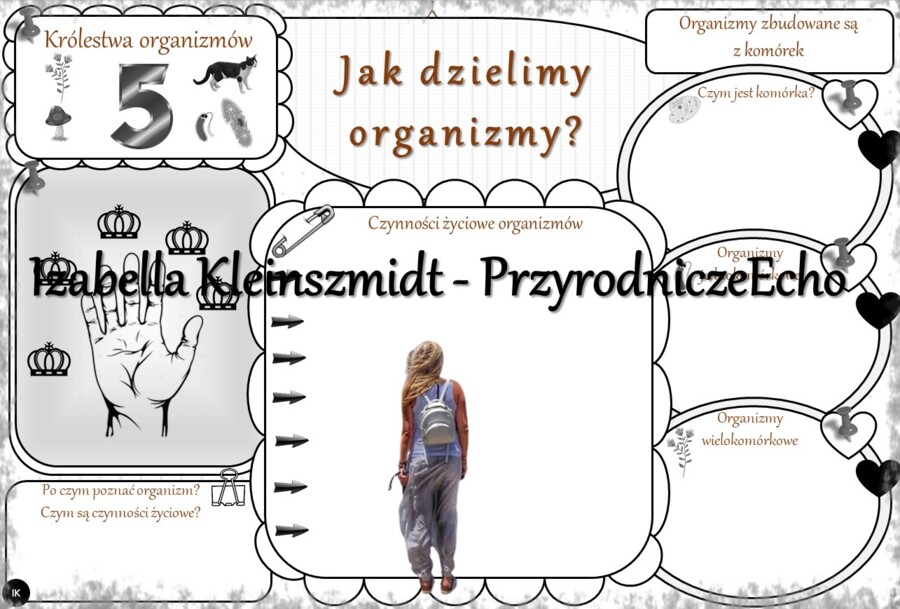 Karta pracy „Jak dzielimy organizmy?” wykonana w power point do edycji. Przyroda 4, „Środowisko życia organizmów” na podstawie wydawnictwa WSiP