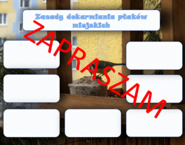 Jak dokarmiać ptaki miejskie - plansza