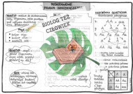 Genetyka (podstawowe pojęcia, pierwsze prawo Mendla, dziedziczenie jednogenowe) – szarość