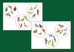 DZIEŃ PTAKÓW – dooble – WIOSNA - biblioteka – świetlica – przedszkole – 36 szt.