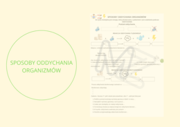 Sposoby oddychania organizmów - notatka do uzupełnienia z zadaniem