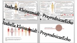 Minizestaw na temat „Obwodowy układ nerwowy. Odruchy” – sketchnotka + karta pracy w power point + gratisowy link do prezentacji multimedialnej niekomercyjnej wykonanej w genial.ly do indywidualnego pobrania i użycia do celów niekomercyjnych. Biologia 7, 