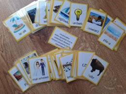 Ortografia - ż - karty do gry, grywalizacja polonistyczna, dysleksja