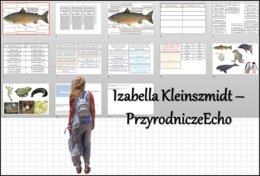 Materiał do zalaminowania/praca w grupach/stacje zadaniowe/układanka/puzzle „Warunki życia w wodzie” w pdf. Przyroda, dział „Odkrywamy tajemnice życia w wodzie i na lądzie”.