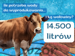 Szkolna gazetka na Dzień Ziemi - Czy wiesz, ile wody potrzeba do wyprodukowania 1 jajka?