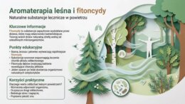 Las, Dzień Lasu, ekosystem leśny - prezentacja, plansze, gazetka