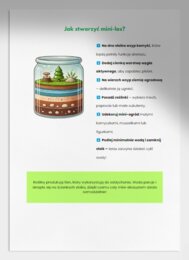 Domowe eksperymenty. Oczyszczanie wody, tworzenie mini-ogrodów w słoiku.