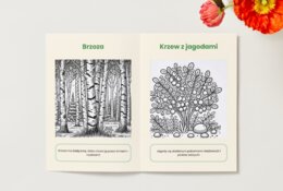 Kolorowanki. Zwierzęta. Rośliny. Grzyby. Ekosystemy