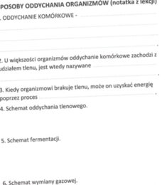 Sposoby oddychania organizmów (KP 2)
