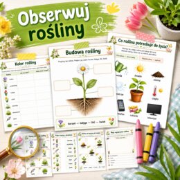 Wiosenne rośliny - poznaję i nazywam