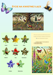 Plansze z ekosystemami (Las, łąka, jezioro)