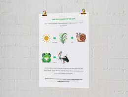 Plakat przedstawiający łańcuchy pokarmowe