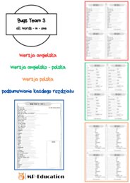 Word list Bugs Team 3 – 70 stron gotowych wklejek ze słownictwem