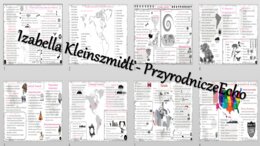Zestaw sketchnotek – notatek do całego działu „Ameryki” wykonanych w power point do edycji. Geografia 8